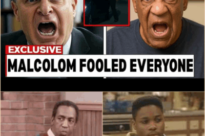 The Malcolm-Jamal Warner Enigma: Did He Mastermind an Escape, Leaving Bill Cosby to Pay the Price?