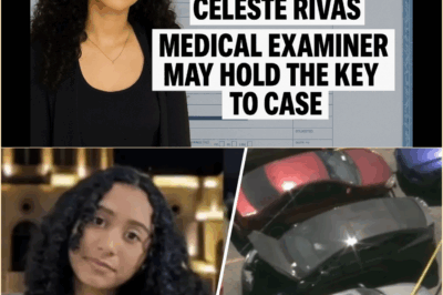 The Silent Witness: D4vd’s Tesla and the Unanswered Questions After Police Confirm Celeste Revas Was ‘Dead For Weeks’ in Star’s Car