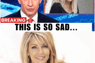 The Unseen Scars of an Icon: How Private Heartbreak and Relentless Fame Collided to Break Heather Locklear