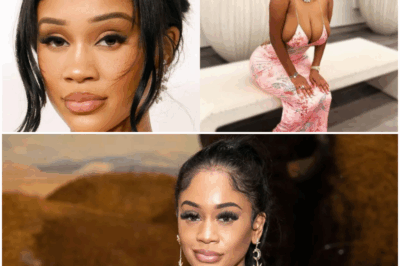 The Price of Silence: Inside the Vicious Celebrity Feud Exposing Saweetie’s Alleged Secret Life of High-Stakes International Trips and Married Men