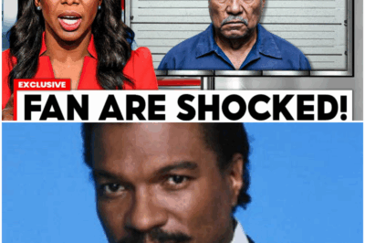 The Cracked Icon: Inside Billy Dee Williams’ Shocking Arrest, Brando’s Secret Proposal,