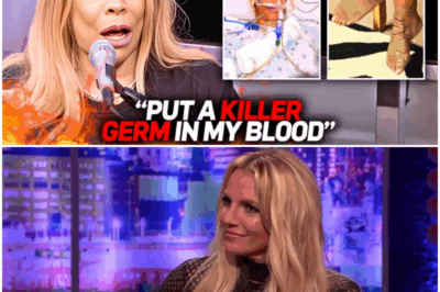 The Shadow of a “Death Germ”: Inside Wendy Williams’s Alleged Conspiracy and the Battle for Her Freedom