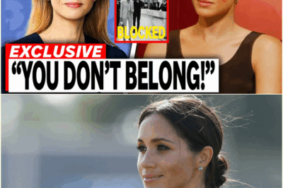 The Red File: How Dior Allegedly Humiliated Meghan Markle with Leaked CCTV and Issued a Stunning “BLOCKED” Warning to All of Paris Couture