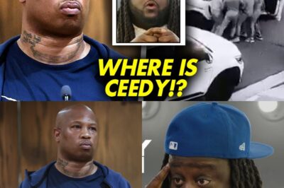 Ceddy Nash Missing After Hernandez Govan’s Chilling Threat: The Dark Side of YouTube, Young Dolph’s Legacy, and the Weight of Silence