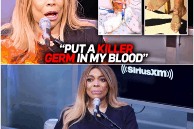 The Hidden Hand: Wendy Williams’ Cries of Being ‘Drugged to Death’ Expose Guardian Betrayal and the Diddy Beef That Never Died