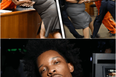 The Tesla, The Teen, and The Truth: How Rising Star D4vd’s Career Froze After a Body Was Found in His Car