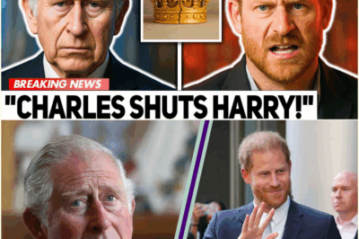 The ‘Insulting’ Demand: King Charles Slams the Door on Prince Harry’s Attempt to Reclaim VIP Royal Status, Leaving Him in Tears