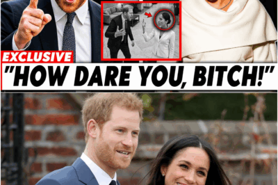 HARRY’S RAGE: INSIDE THE EXPLOSIVE CONFRONTATION AFTER MEGHAN MARKLE USED DIANA’S DEATH SITE AS A PUBLICITY STUNT