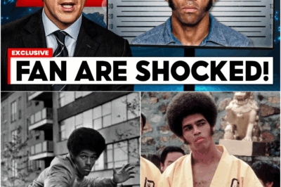 The Silent Strike: Why Jim Kelly, the World’s First Black Kung Fu Icon, Vanished from Hollywood at the Peak of His Power