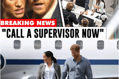Airport Meltdown: How a Denied Private Jet Exposed the Stark Reality of the Sussexes’ ‘Freedom With Perks’