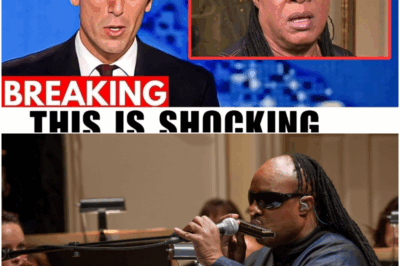 The Sound of Endurance: Stevie Wonder’s Unseen Battles, Heartbreak, and the Relentless Price of Genius at 75