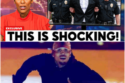 The Unspeakable Secret and Death-Defying Battles That Forged Pam Grier, Hollywood’s Unbreakable Queen of Action