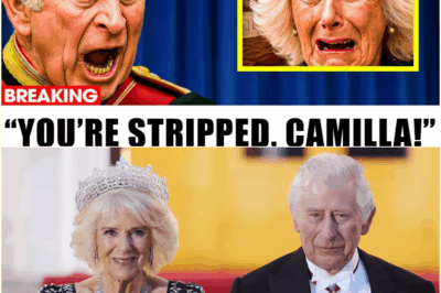 ‘This Is Betrayal’: King Charles Strips Queen Camilla of Royal Rights After Stolen Crown Jewels Found Hidden in Her Family’s Possession