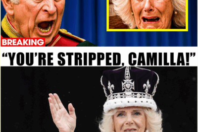 Monarchy Rocked: King Charles Strips Queen Camilla of All Rights After Queen’s Jewels Found Hidden in Her Family’s Wing.
