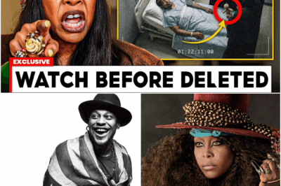 Neo-Soul’s Dark Curse: The Buried Footage Erykah Badu Just Revealed About D’Angelo’s “Too Neat” Death
