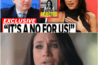 The Birkin Betrayal: How Hermès’s Brutal, One-Sentence Rejection and a Controversial Diana Stunt Ended Meghan Markle’s Paris Ambitions