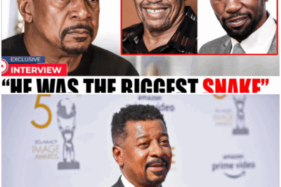 The Price of Rebellion: How Robert Townsend’s Credit Card Courage Exposed Hollywood and Led to Personal Ruin