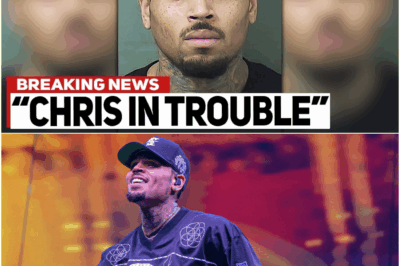 The $25,000 Debt, The $90 Million Tour: How R&B Star Kevin McCall’s Feud with Chris Brown Became a Tragic Story of Self-Destruction