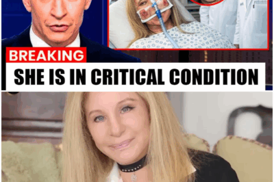 The $400 Million Tragedy: Barbra Streisand’s Final Stand Against Family Greed and the Shocking Heir to Her Fortune