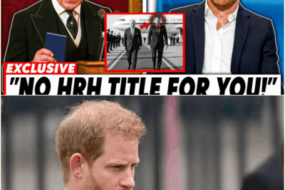 The Crown’s Ultimatum: Prince Harry Rushes to UK in Desperate Bid to Save Royal Titles as William Forces ‘Surgical’ Cleansing