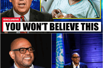 The King Who Couldn’t Be Saved: Forest Whitaker’s Heartbreaking Tragedy at 64, Where the Oscar Light Failed to Defeat the Darkness