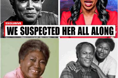 Cold Secret of Decades: The Hidden Moral Battle Between Esther Rolle and Jimmie Walker That Made Her Leave Good Times at the Peak of Fame