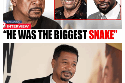 The $60,000 Gamble: How Robert Townsend Maxed His Credit Cards to Expose Hollywood Racism and Paid the Price with His Family and Fortune