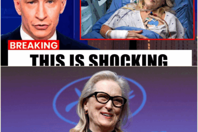 The Invisible Scar: How the Tragic Loss of Her First Love Tormented Meryl Streep’s 45-Year Marriage and Fueled Her Cinematic Legend at 76