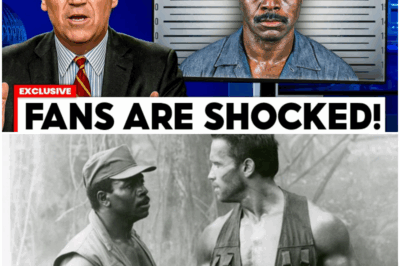 The Silent Tragedy of Carl Weathers: How a $700K Cash Hoard, a Hidden Spinal Fracture, and a Feud with Stallone Defined Apollo Creed’s True Legacy