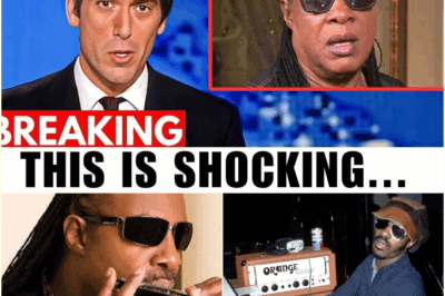 The Unseen Cost of Genius: The Enduring Tragedy and Unbreakable Spirit of Stevie Wonder at 75