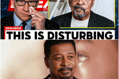 The Man Hollywood Tried to Erase: Robert Townsend’s Three-Decade Tragedy and the Price of Telling the Truth Too Soon