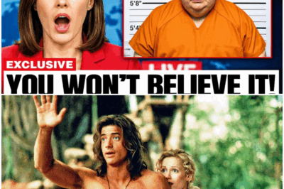 The Cost of Silence: Why Brendan Fraser, Hollywood’s Golden Boy, Vanished for a Decade and the Truth Behind His Triumphant Comeback