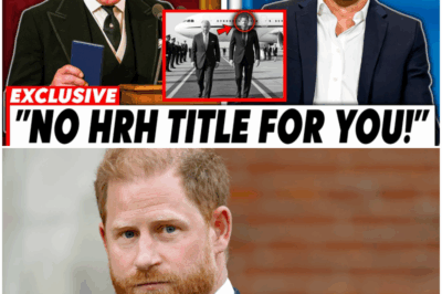 Royal Civil War: Harry Races to UK in Desperate Bid to Save Titles as William Pushes Act to Permanently Exile the Sussexes
