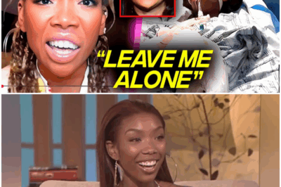 The Boy Is Mine, The Feud Is Back: Brandy’s Terrifying Stage Collapse, Overdose Rumors, and Monica’s Devastating ‘Betrayal’