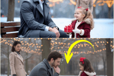 The “Machine CEO” and the Broken Ornament: How Two Strangers Brought Christmas Back to Life in a Billionaire’s Penthouse.