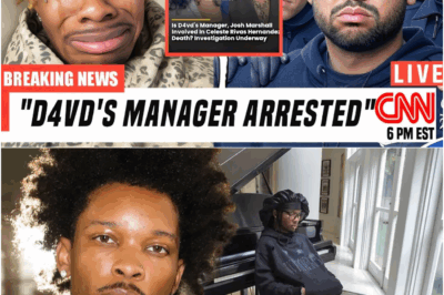 The Chilling Footage and the ‘Deafening Silence’: How D4vd’s Manager’s Alleged Negligence Led to a Teen’s Tragic Death and Federal Arrest