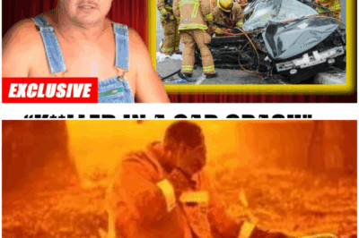 The Secret Double Life: The Heartbreak, Loss, and Heavy Cost of Tim Smith’s Journey from Outlaw Moonshiner to Legal Legacy