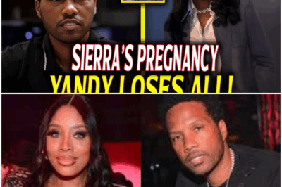 The Cost of Truth: Yandy’s Confession and the Sierra Rumors That Broke Mendeecees’ ‘Impenetrable’ Marriage