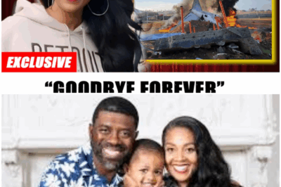 The Heartbreak Behind the Home Reno: The Untold Story of Shea Hicks Whitfield’s Battles Off-Camera