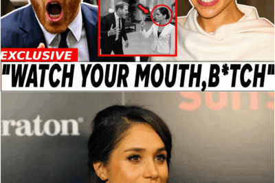 The Betrayal Under the Paris Lights: How One ‘Sick Stunt’ Near Diana’s Tunnel Broke Prince Harry