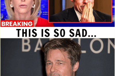 The Cruelest Paradox: Brad Pitt’s $400 Million Fortune Can’t Buy Back the One Thing He Lost