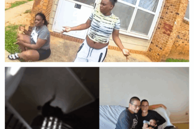 A Mother’s Confession, A Father’s Wounds: The Domestic Knife Attack That Exposed A Family’s Nightmare