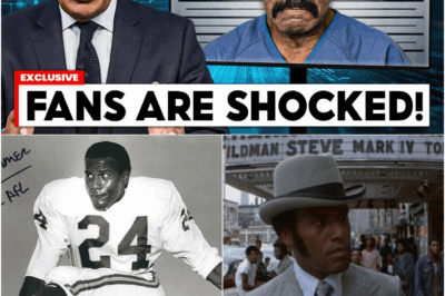 The Silent Tragedy of ‘The Hammer’: How a 2020 Scandal Shattered Fred Williamson’s Icon Status and Forced His Shocking Hollywood Disappearance